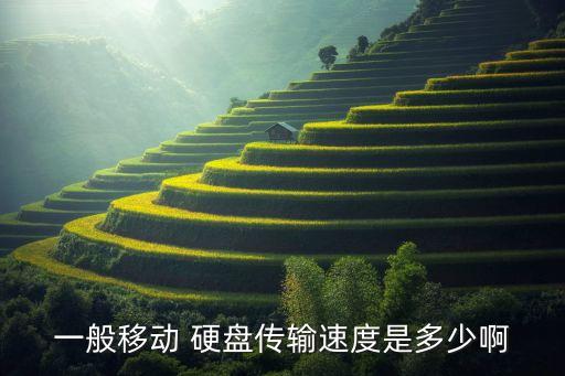 一般移動 硬盤傳輸速度是多少啊