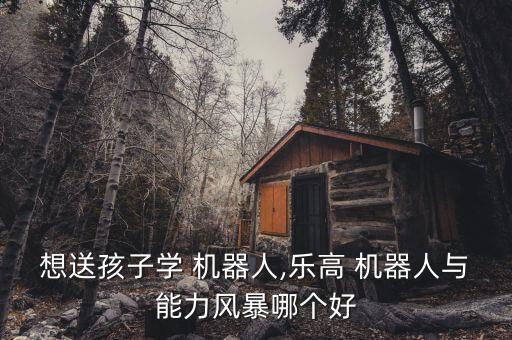 想送孩子學(xué) 機(jī)器人,樂(lè)高 機(jī)器人與能力風(fēng)暴哪個(gè)好