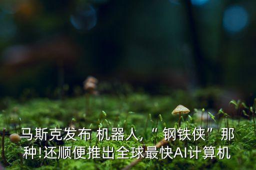 鋼鐵俠機(jī)器人叫什么,樂高鋼鐵俠機(jī)器人