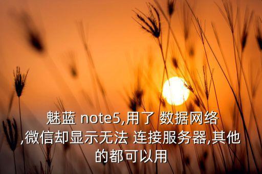  魅藍(lán) note5,用了 數(shù)據(jù)網(wǎng)絡(luò),微信卻顯示無法 連接服務(wù)器,其他的都可以用
