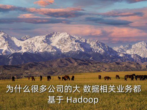 為什么很多公司的大 數(shù)據(jù)相關(guān)業(yè)務(wù)都基于 Hadoop
