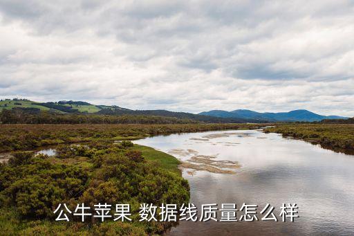 公牛蘋果 數(shù)據(jù)線質(zhì)量怎么樣