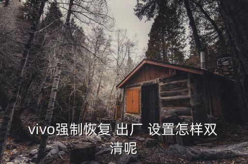 vivo強(qiáng)制恢復(fù) 出廠 設(shè)置怎樣雙清呢