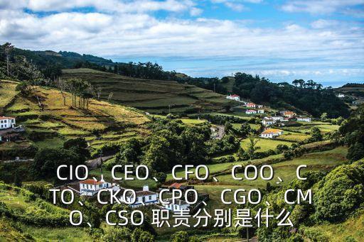 CIO、CEO、CFO、COO、CTO、CKO、CPO、CGO、CMO、CSO 職責分別是什么