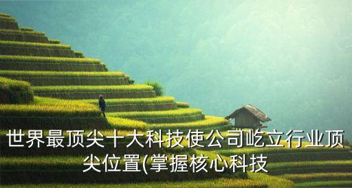 世界最頂尖十大科技使公司屹立行業(yè)頂尖位置(掌握核心科技