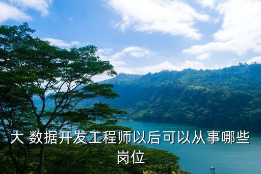 大 數(shù)據開發(fā)工程師以后可以從事哪些崗位