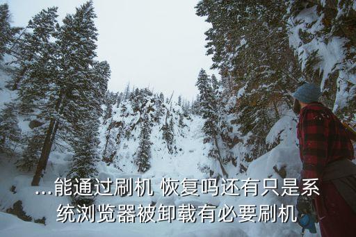 ...能通過刷機(jī) 恢復(fù)嗎還有只是系統(tǒng)瀏覽器被卸載有必要刷機(jī)