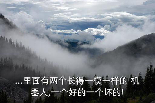 ...里面有兩個長得一模一樣的 機器人,一個好的一個壞的!