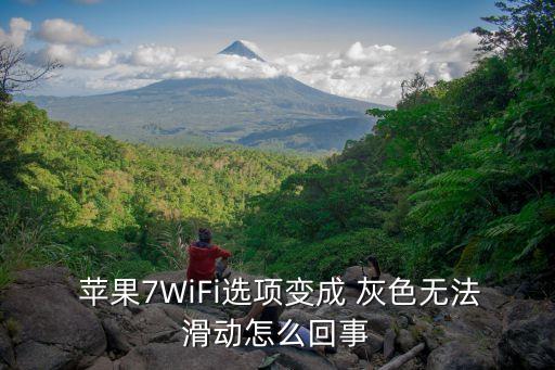 蘋果手機(jī)蜂窩數(shù)據(jù)灰色,蘋果蜂窩數(shù)據(jù)是灰色的