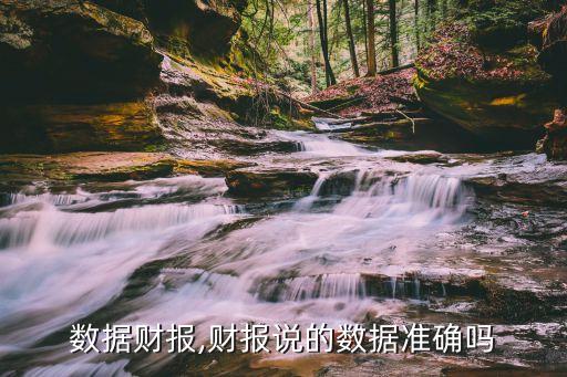 萬國數(shù)據(jù)財(cái)報(bào),財(cái)報(bào)說的數(shù)據(jù)準(zhǔn)確嗎