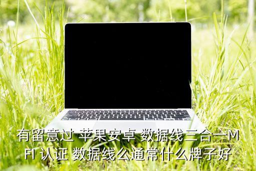 蘋果mfi認證數(shù)據(jù)線評測,蘋果沒有Mfi認證,會有什么影響
