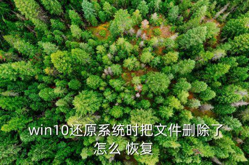 win10電腦怎么恢復(fù)數(shù)據(jù)恢復(fù),Win10數(shù)據(jù)恢復(fù)