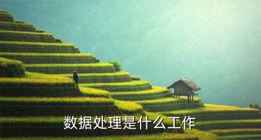 數(shù)據(jù)處理是什么工作