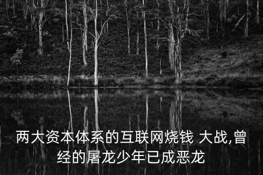 滴滴美團大戰(zhàn)相關(guān)的經(jīng)濟數(shù)據(jù)