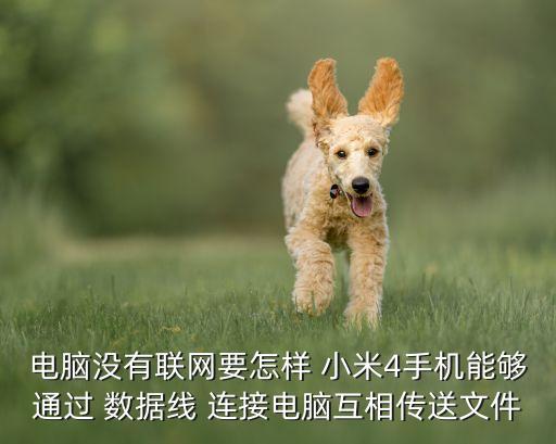 小米4怎樣連接數(shù)據(jù),小米手機(jī)數(shù)據(jù)網(wǎng)絡(luò)連接不上是什么原因