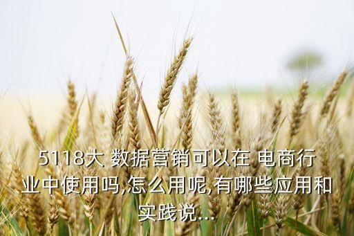 5118大 數(shù)據(jù)營(yíng)銷可以在 電商行業(yè)中使用嗎,怎么用呢,有哪些應(yīng)用和實(shí)踐說(shuō)...