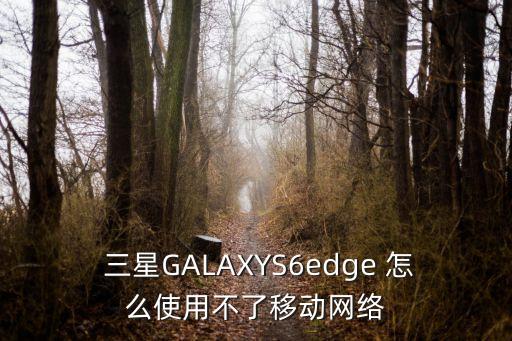  三星GALAXYS6edge 怎么使用不了移動網(wǎng)絡(luò)