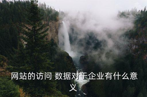  網(wǎng)站的訪問 數(shù)據(jù)對于企業(yè)有什么意義