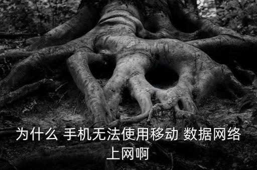 為什么 手機無法使用移動 數(shù)據(jù)網(wǎng)絡(luò)上網(wǎng)啊