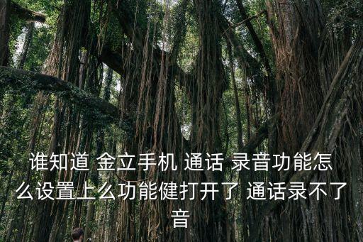 誰(shuí)知道 金立手機(jī) 通話 錄音功能怎么設(shè)置上么功能健打開了 通話錄不了音
