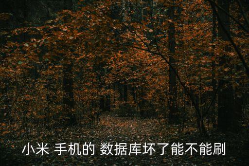 小米 手機(jī)的 數(shù)據(jù)庫(kù)壞了能不能刷
