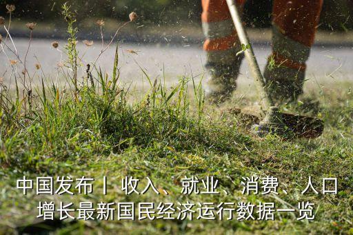 2016中國(guó)女性收入數(shù)據(jù)庫(kù)