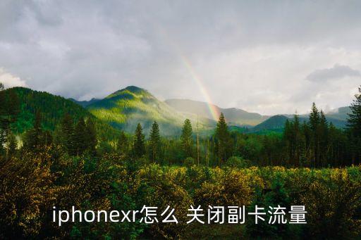 iphonexr怎么 關閉副卡流量