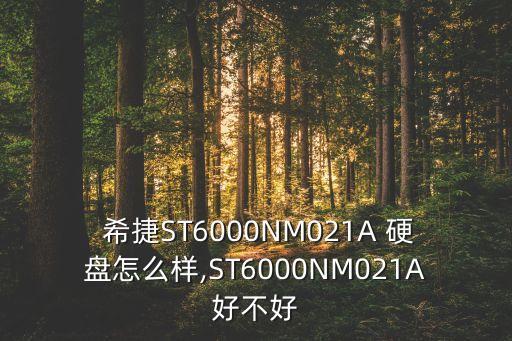  希捷ST6000NM021A 硬盤怎么樣,ST6000NM021A好不好