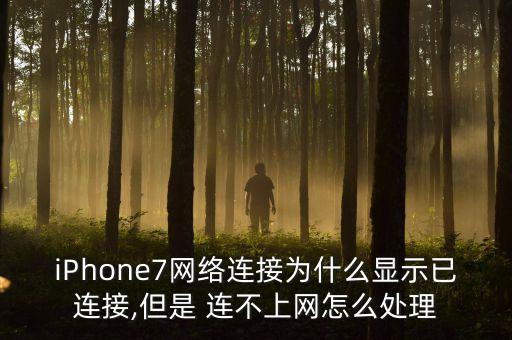 iPhone7網(wǎng)絡(luò)連接為什么顯示已連接,但是 連不上網(wǎng)怎么處理