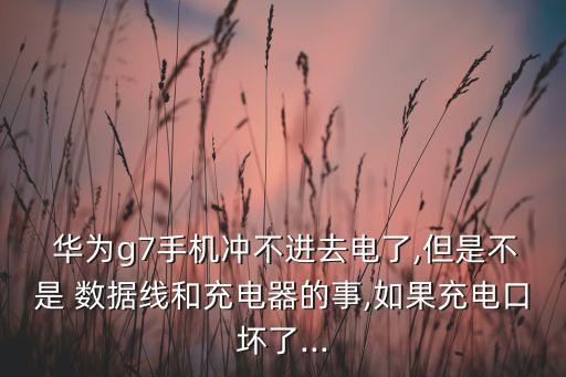  華為g7手機(jī)沖不進(jìn)去電了,但是不是 數(shù)據(jù)線和充電器的事,如果充電口壞了...