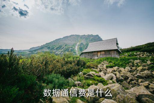 數(shù)據(jù)通信費是什么