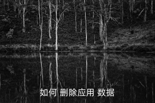 如何 刪除應(yīng)用 數(shù)據(jù)