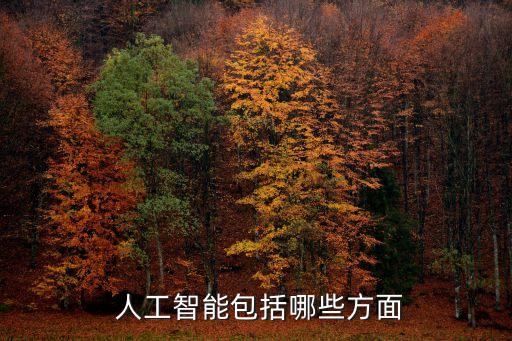  人工智能包括哪些方面