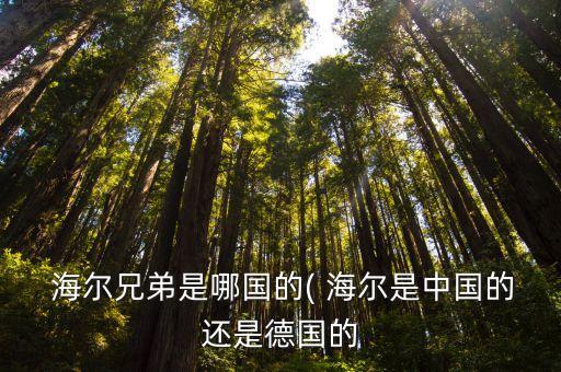 青島海爾家用機(jī)器人