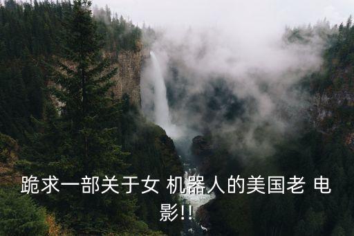 跪求一部關于女 機器人的美國老 電影!!