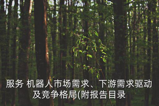 服務(wù) 機器人市場需求、下游需求驅(qū)動及競爭格局(附報告目錄
