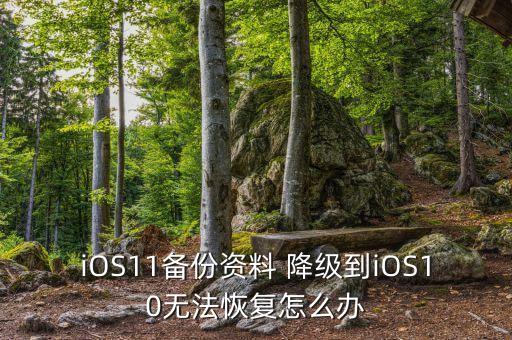 iOS11備份資料 降級(jí)到iOS10無(wú)法恢復(fù)怎么辦