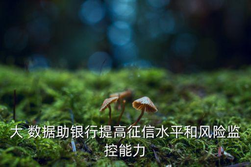 大 數(shù)據(jù)助銀行提高征信水平和風(fēng)險(xiǎn)監(jiān)控能力