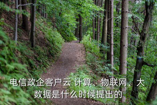 電信政企客戶云 計(jì)算、物聯(lián)網(wǎng)、大 數(shù)據(jù)是什么時(shí)候提出的