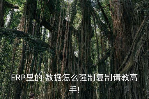 ERP里的 數(shù)據(jù)怎么強(qiáng)制復(fù)制請(qǐng)教高手!