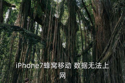 iPhone7蜂窩移動(dòng) 數(shù)據(jù)無(wú)法上網(wǎng)