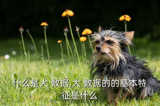 什么是大 數(shù)據(jù),大 數(shù)據(jù)的的基本特征是什么
