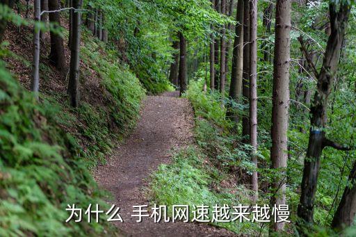 為什么 手機網(wǎng)速越來越慢