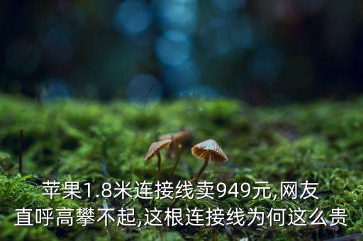 蘋果1.8米連接線賣949元,網(wǎng)友直呼高攀不起,這根連接線為何這么貴