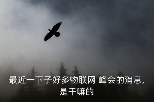 湖南大數(shù)據(jù)峰會,數(shù)據(jù)峰會2022