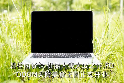 碧桂園餐飲 機器人集大成之作,FOODOM天降美食王國正式開業(yè)