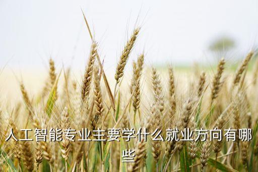 小師自能機器人,機器人指導(dǎo)師資格證
