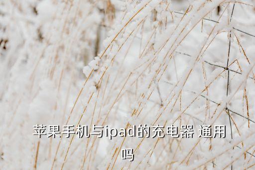  蘋果手機與ipad的充電器 通用嗎