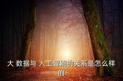 大 數(shù)據(jù)與 人工智能的關系是怎么樣的