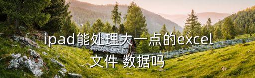  ipad能處理大一點(diǎn)的excel文件 數(shù)據(jù)嗎